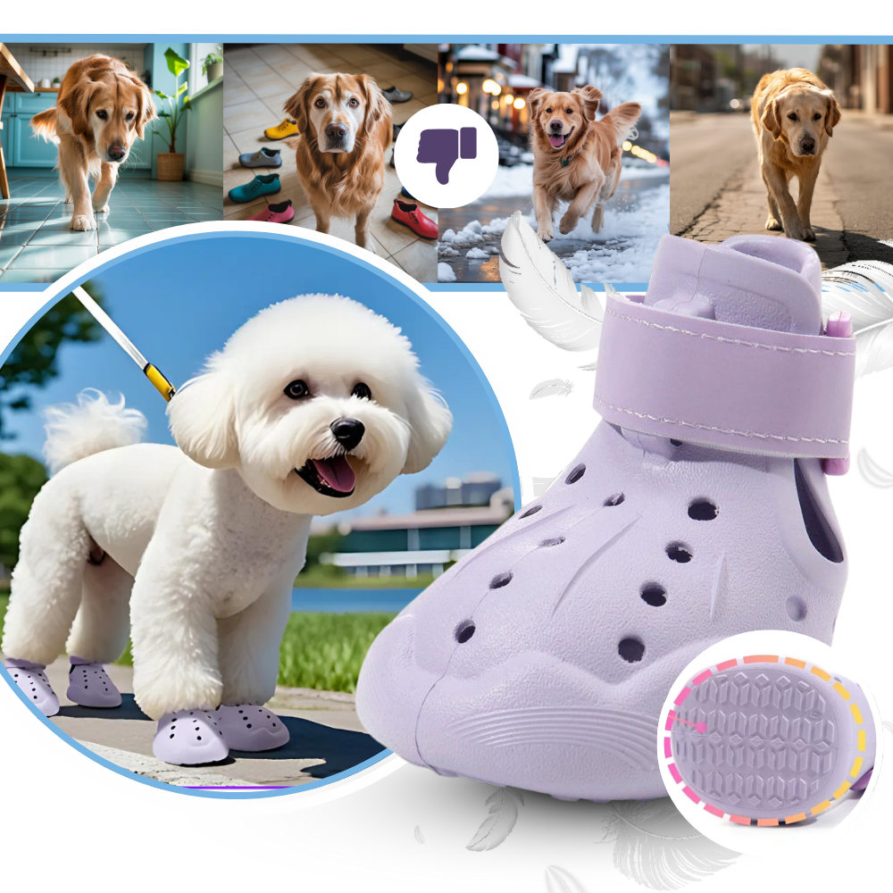 Paw Guard Boots - Ozerty