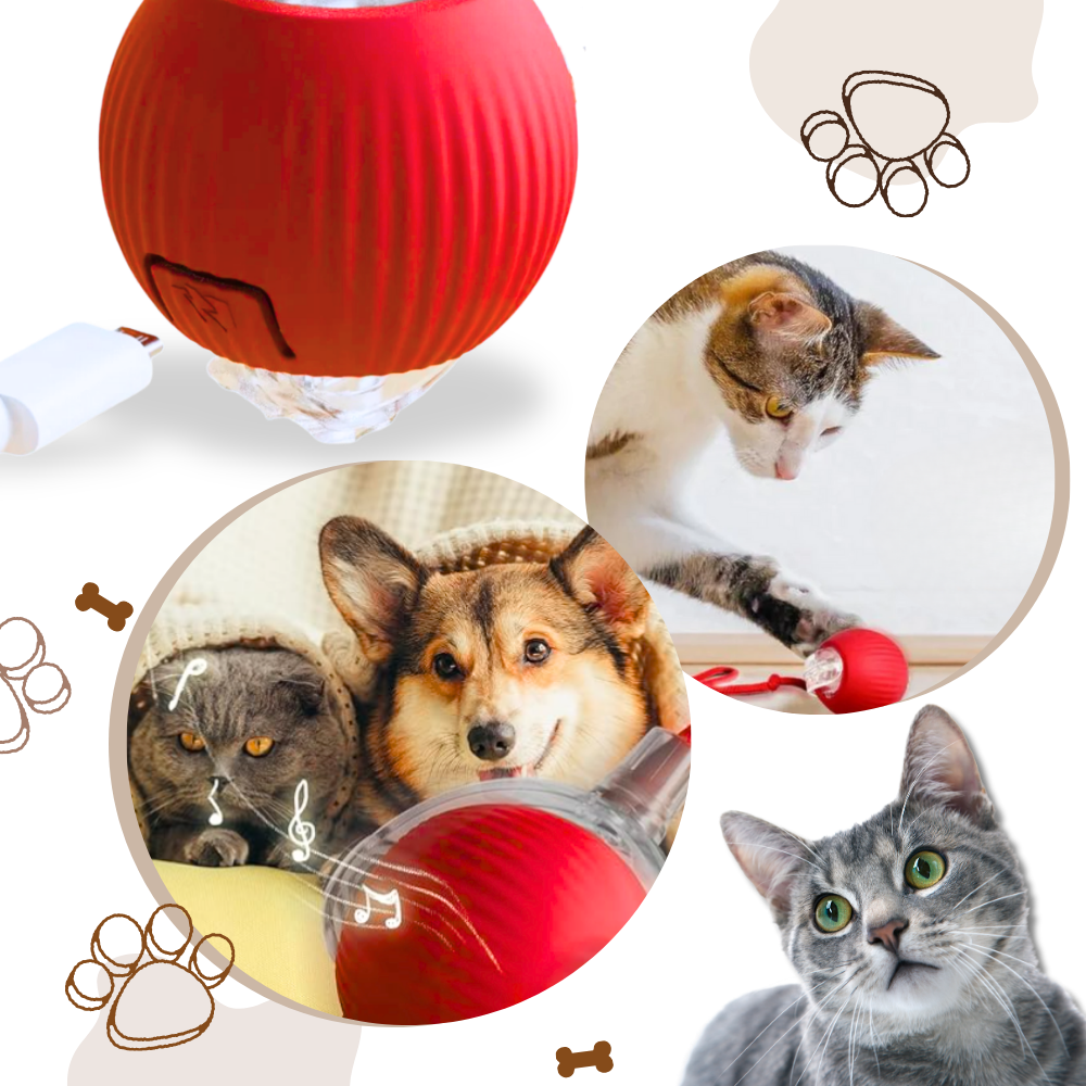 Smart Interactive Cats Ball Toy - Ozerty