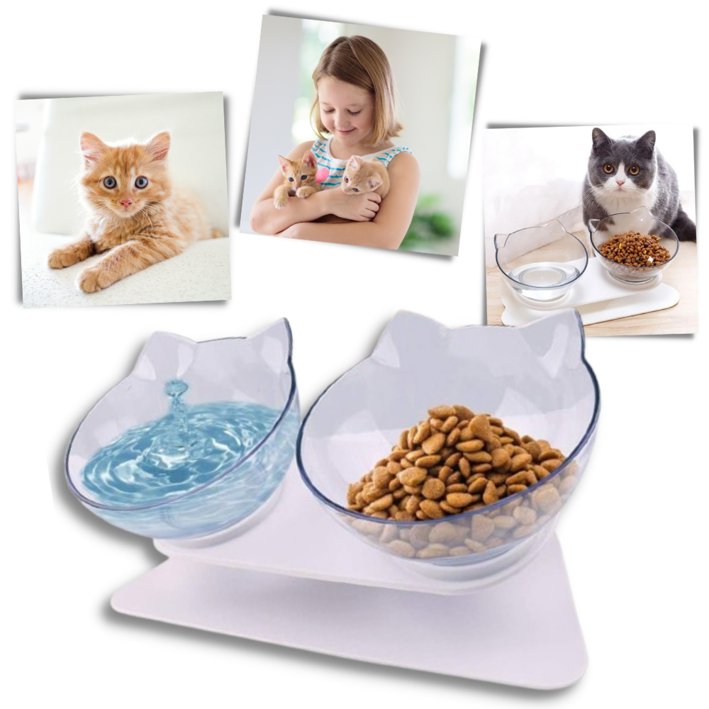 Elevated Comfort Bowl for Cats - Ozerty