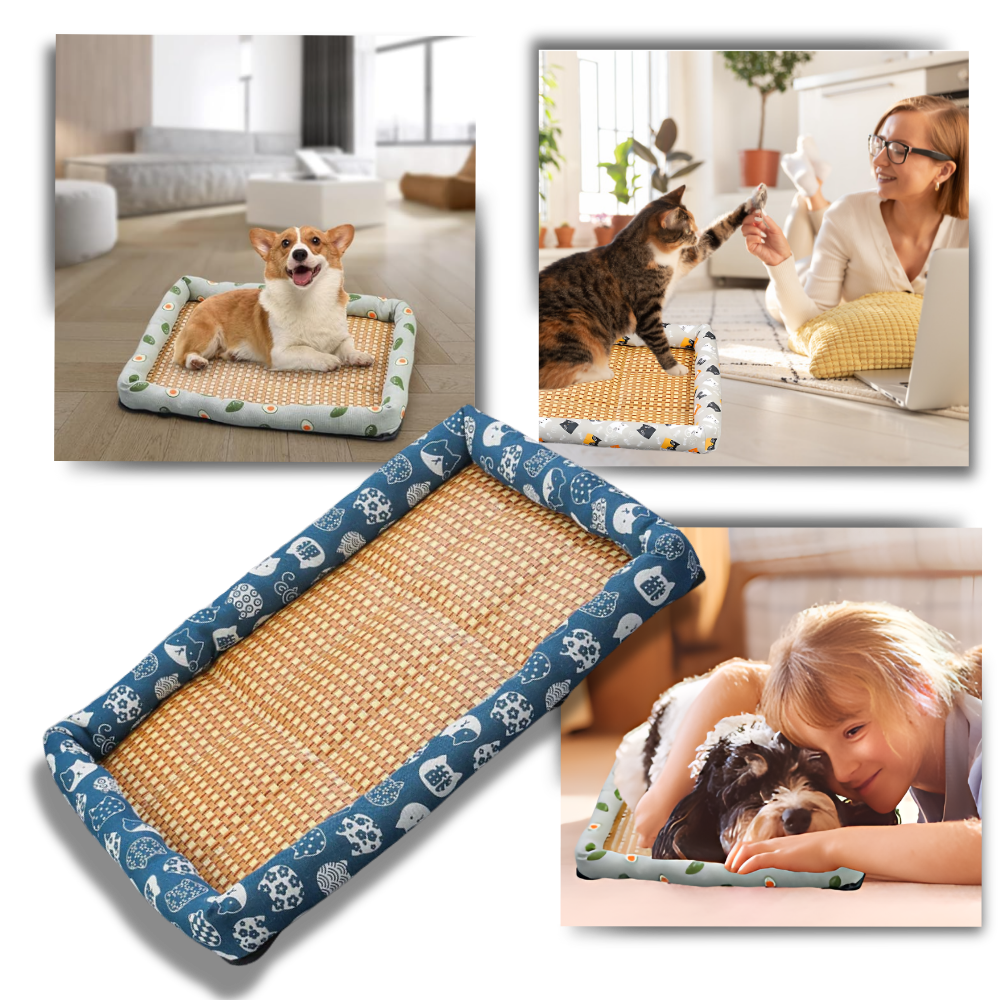 Anti-Slip Cooling Technology Pet Mat - Ozerty