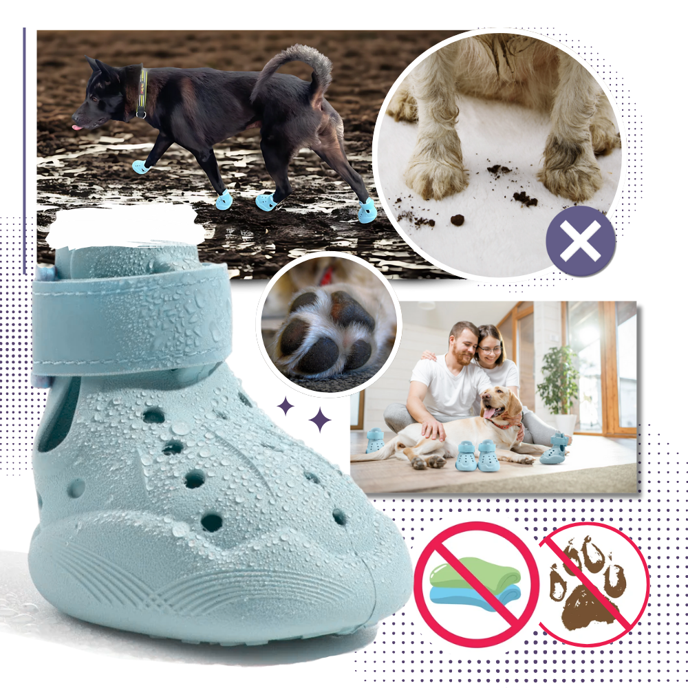 Paw Guard Boots - Ozerty