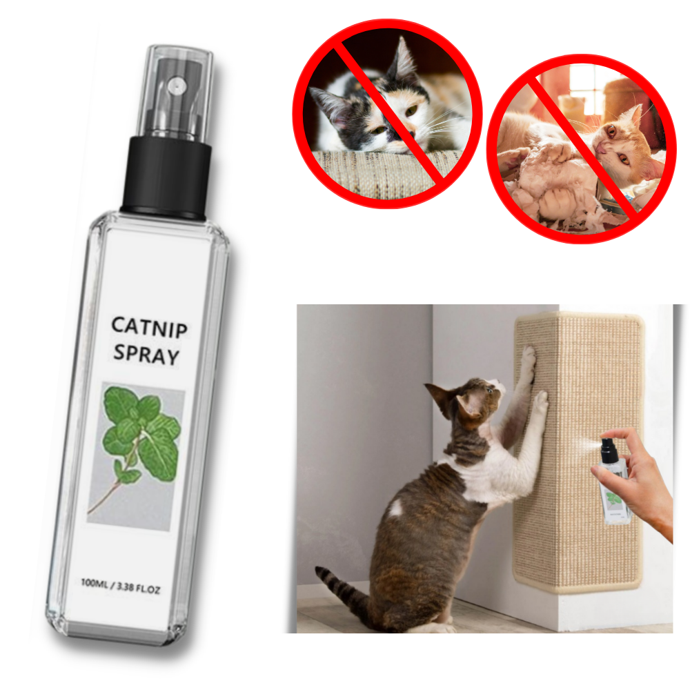 Pure Natural Silvervine For Cats - Ozerty