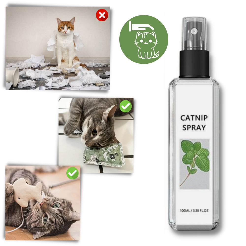 Pure Natural Silvervine For Cats - Ozerty