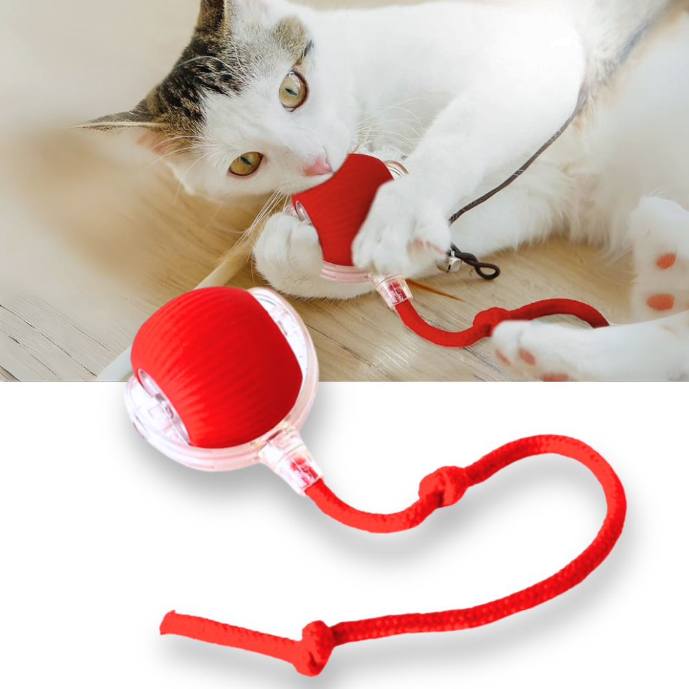 Smart Interactive Cats Ball Toy  - Ozerty