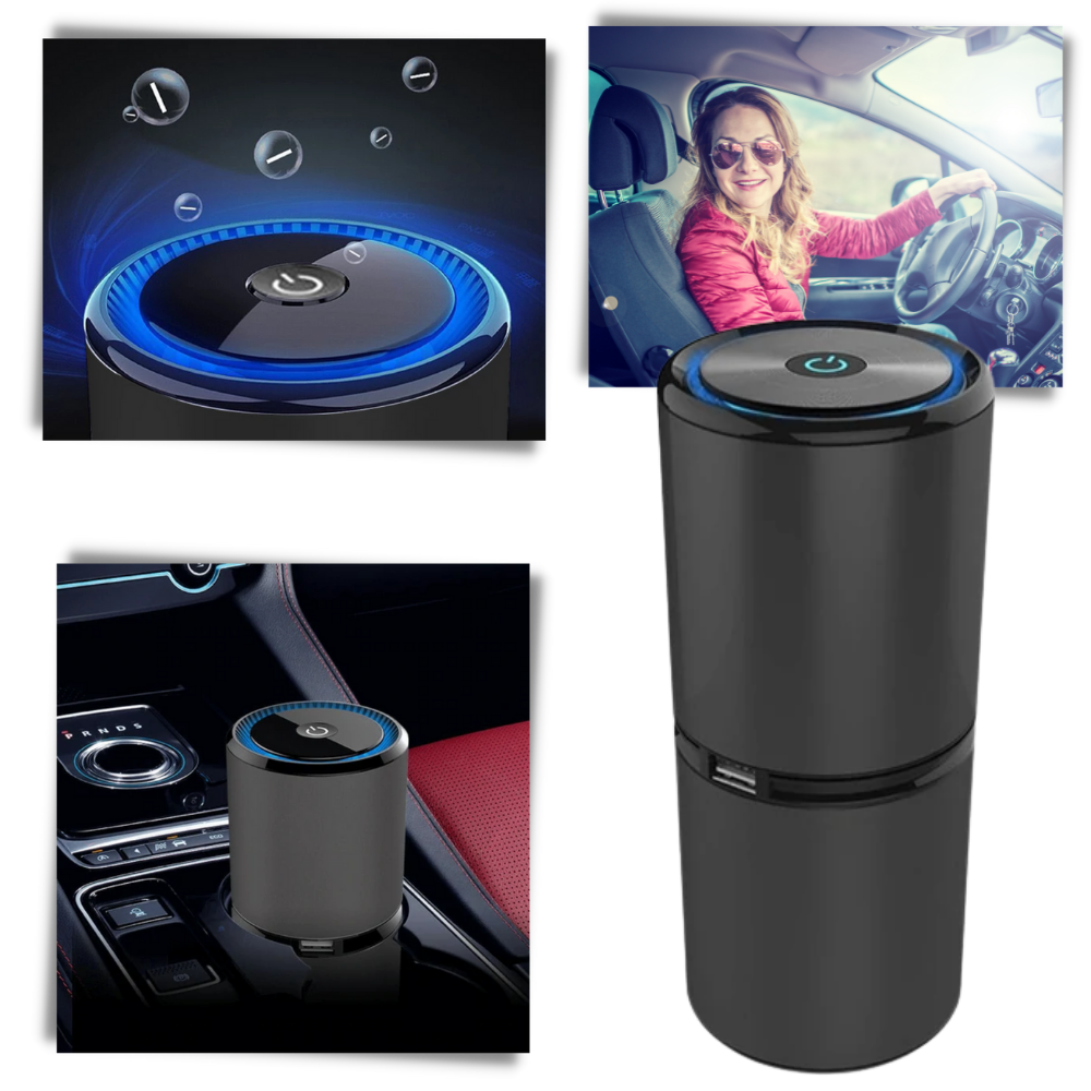 Ionic Air Purifier -