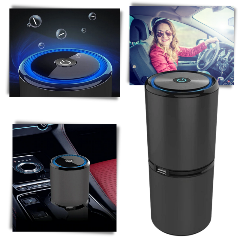 Ionic Air Purifier -