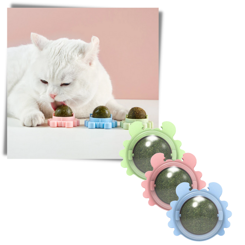 Rotatable Cat Mint Ball Toy