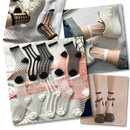 Transparent Fashion Socks for Women - 10 Pairs -