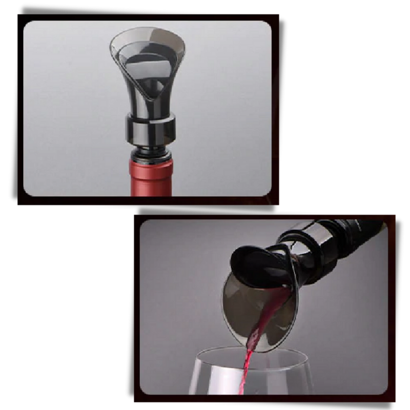 2 in 1 Wine Decanter and Seal