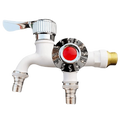 Dual Head Faucet