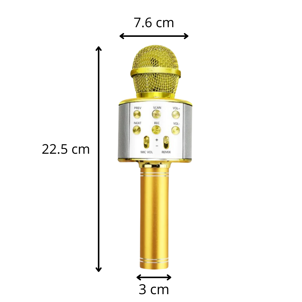 Wireless Bluetooth Karaoke Microphone