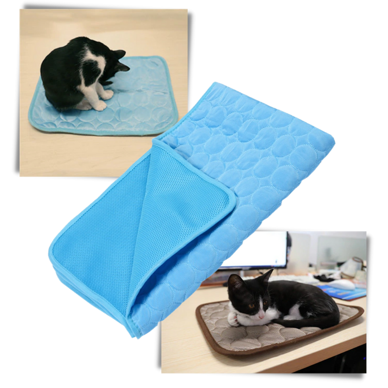 Cooling Mat for Pets