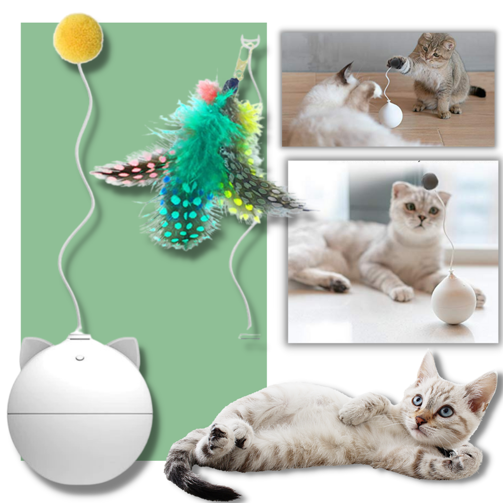 Cat Toy Ball With Auto-Roll Feature -