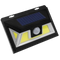 Solar-Powered LED with Motion Detector