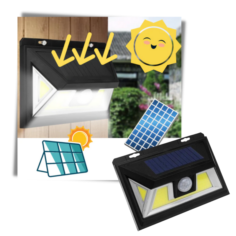 Solar-Powered LED with Motion Detector