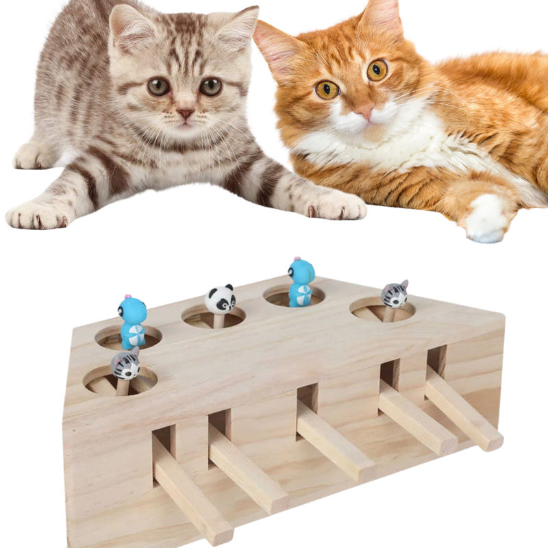 5 Hole Wooden Interactive Cat Toy