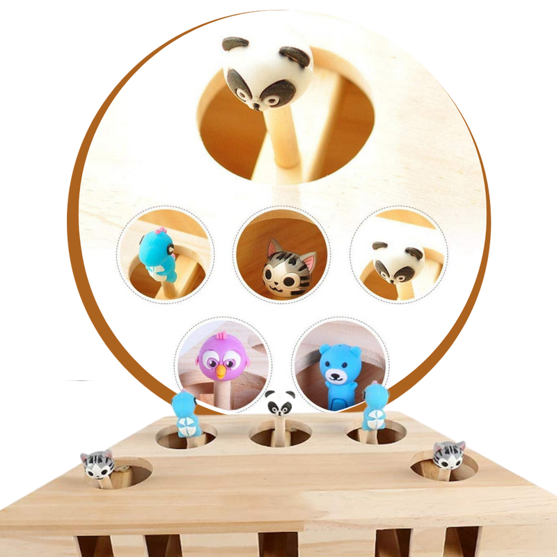 5 Hole Wooden Interactive Cat Toy