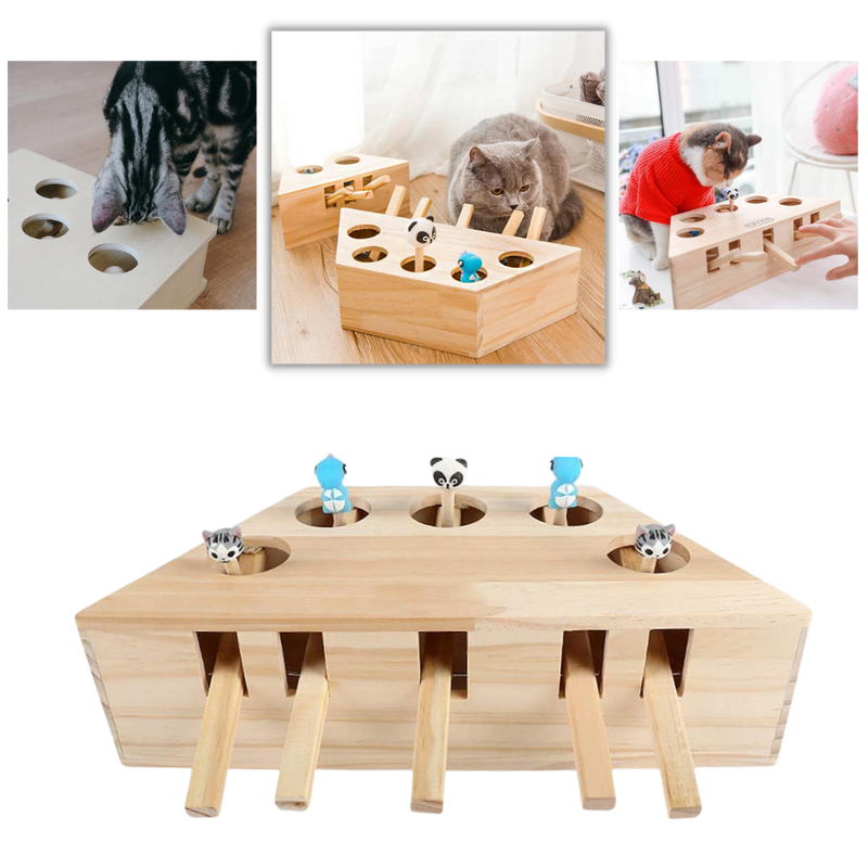 5 Hole Wooden Interactive Cat Toy - Ozerty