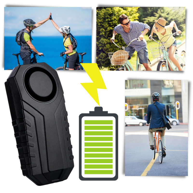 Electric Bicycle Alarm System
