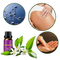Buttock Enhancement Oil