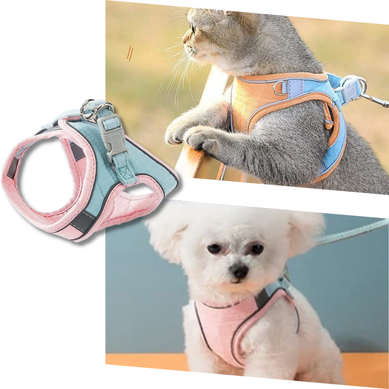 Pet Harness and Leash Set