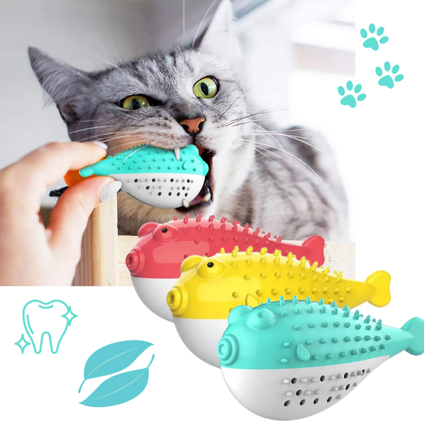 Fish shaped refillable cat toothbrush -