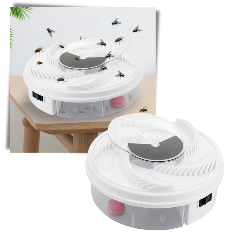 Electric fruit fly and house fly trap