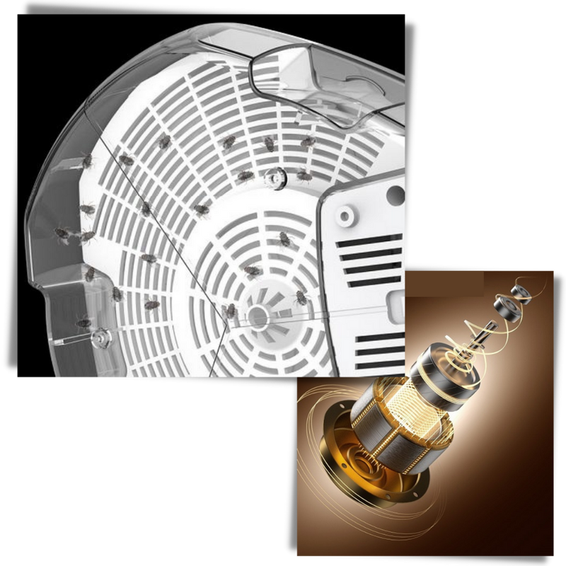 Electric fruit fly and house fly trap