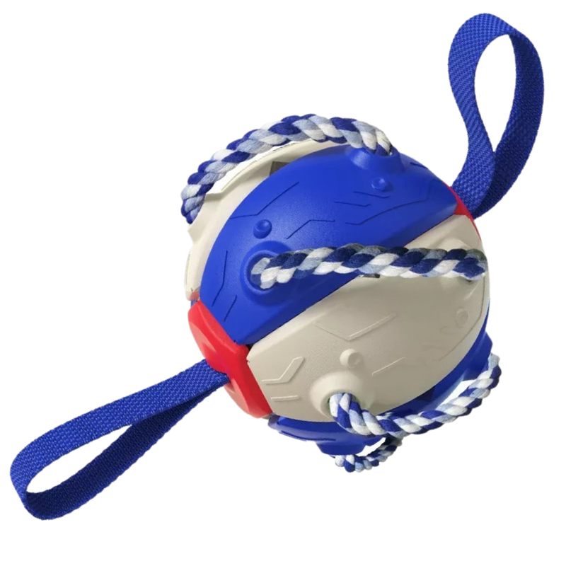 Frisbee Ball Dog Toy