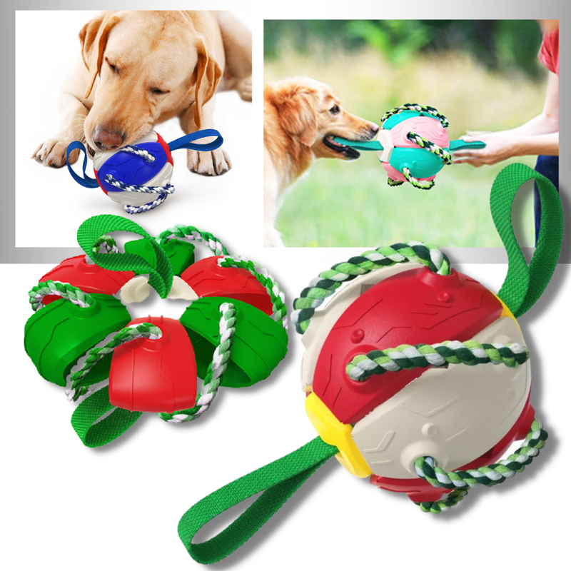 Frisbee Ball Dog Toy -