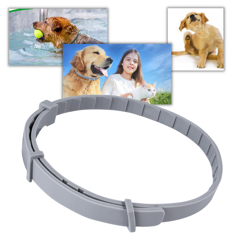 Anti-Flea Collar for Pets -