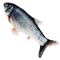 Flopping Fish Cat Toy