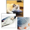 Flopping Fish Cat Toy