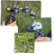 Garden Pruner & Grafting Tool