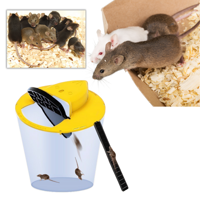 Bucket Rat and Mice Trap
