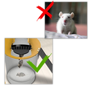 Bucket Rat and Mice Trap