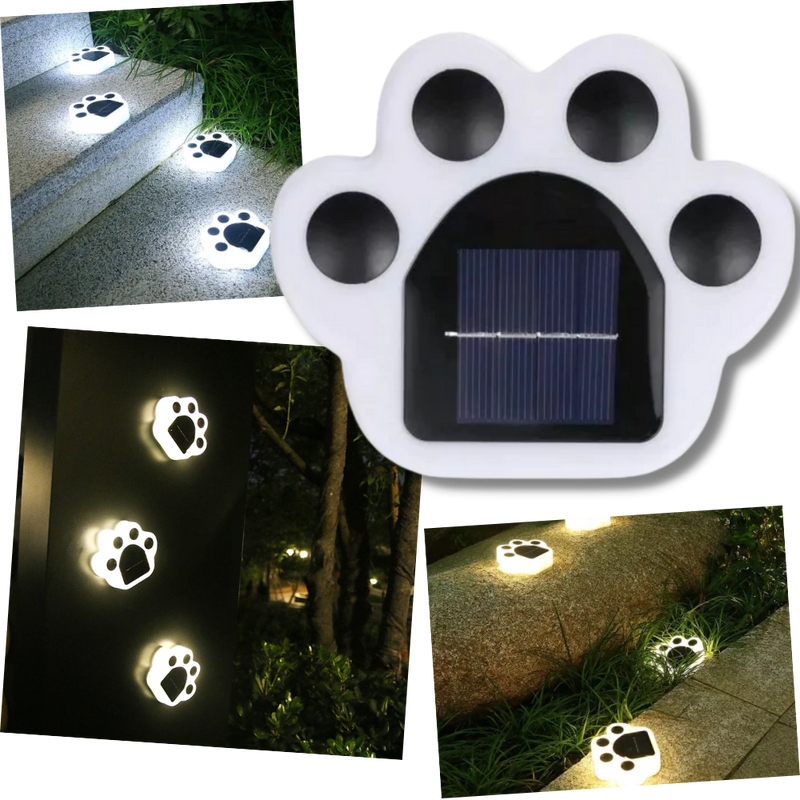 Solar-Powered Paw Print Pathway Light -