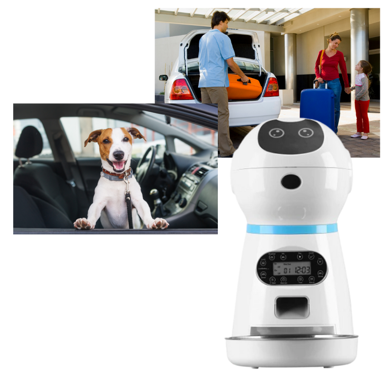 Automatic Pet Food Dispenser