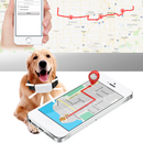 Pet GPS Tracking Collar