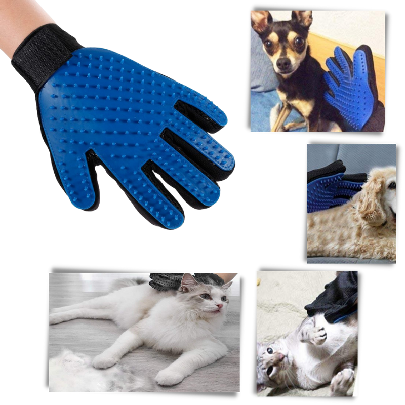 Pet Grooming Gloves (Pair)
