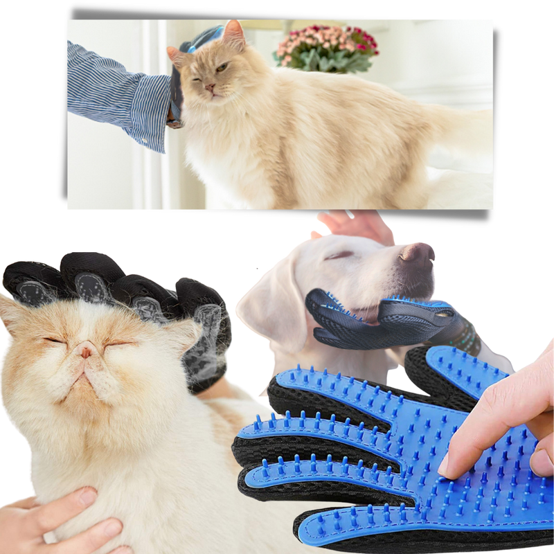 Pet Grooming Gloves (Pair)