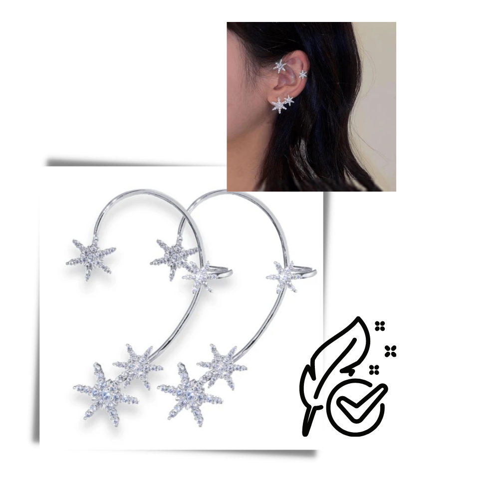 Pair of Zirconia Clip-on Fashion Earrings