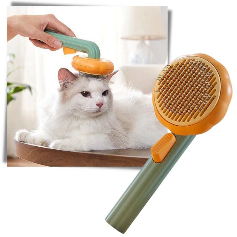 Self-cleaning pumpkin pet brush