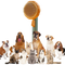 Self-cleaning pumpkin pet brush
