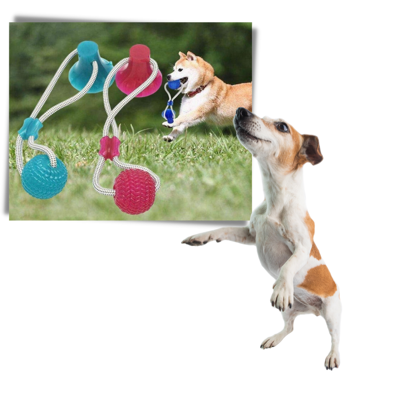 Suction Cup Dog Pull Ball Toy