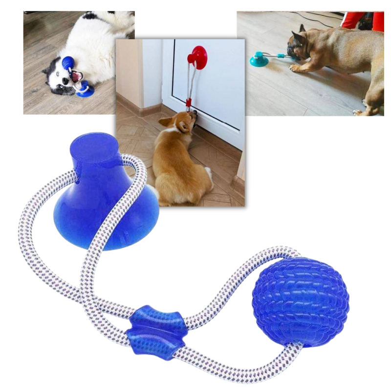 Suction Cup Dog Pull Ball Toy -