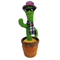Talking Cactus Parrot