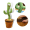 Talking Cactus Parrot