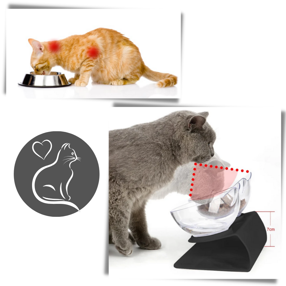 Elevated Comfort Bowl for Cats - Ozerty